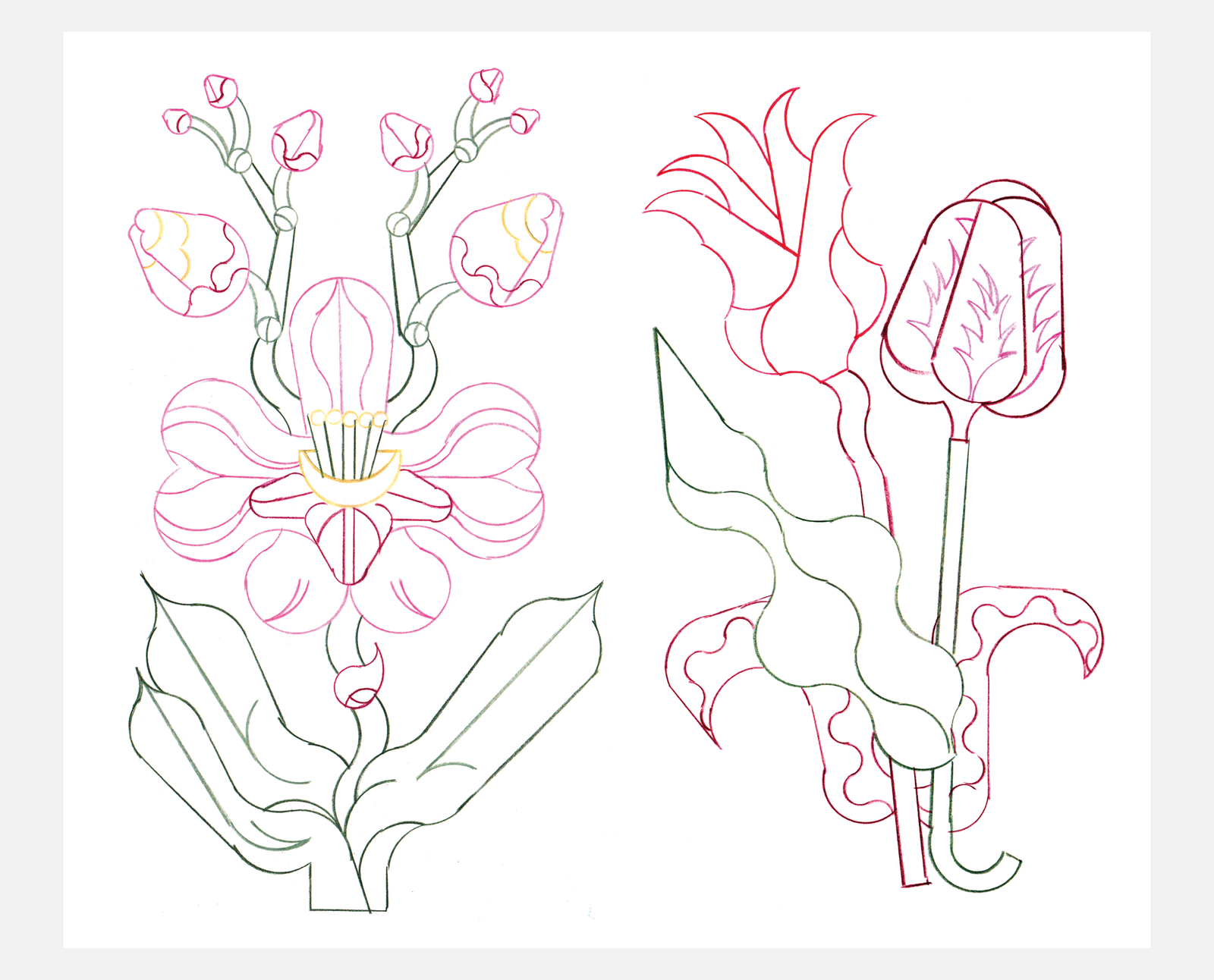Illustrations au normographe