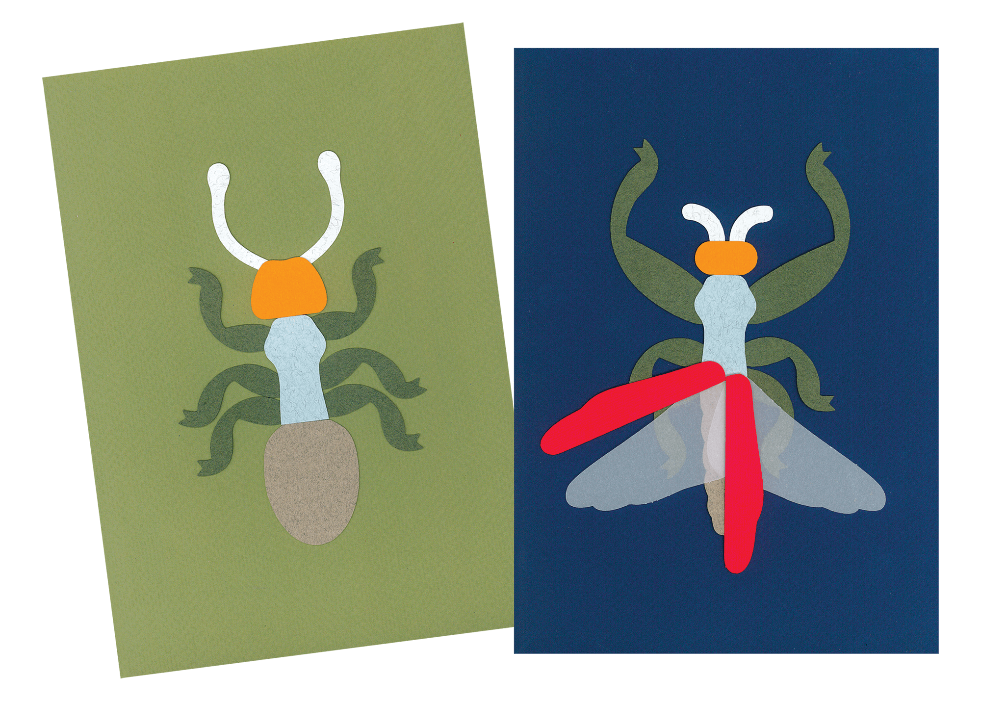 Outil insectes, collage insecte