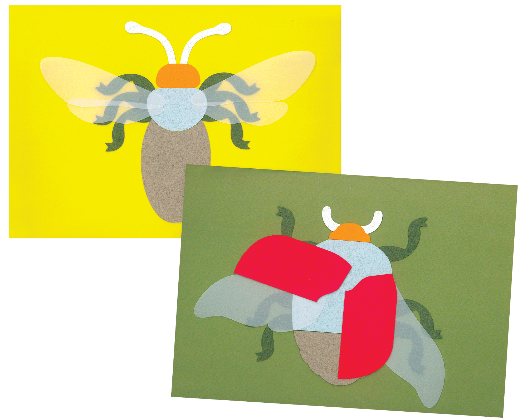 Outil insectes, collage insecte