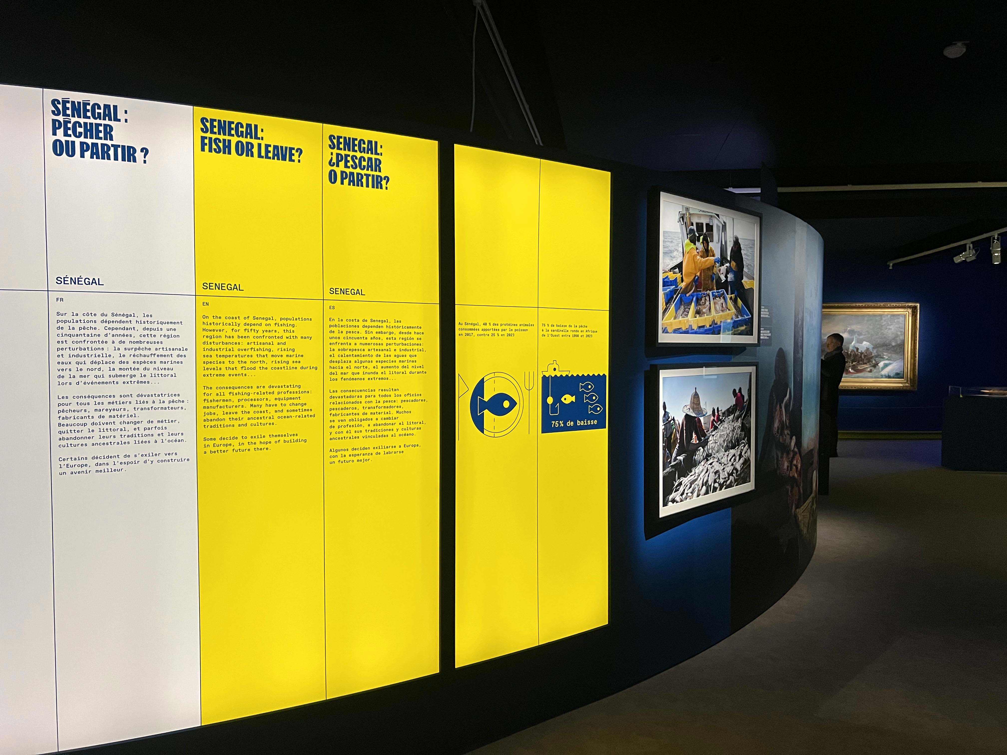 Exposition Migrations et climat, datavisualisation sur les panneaux de salle