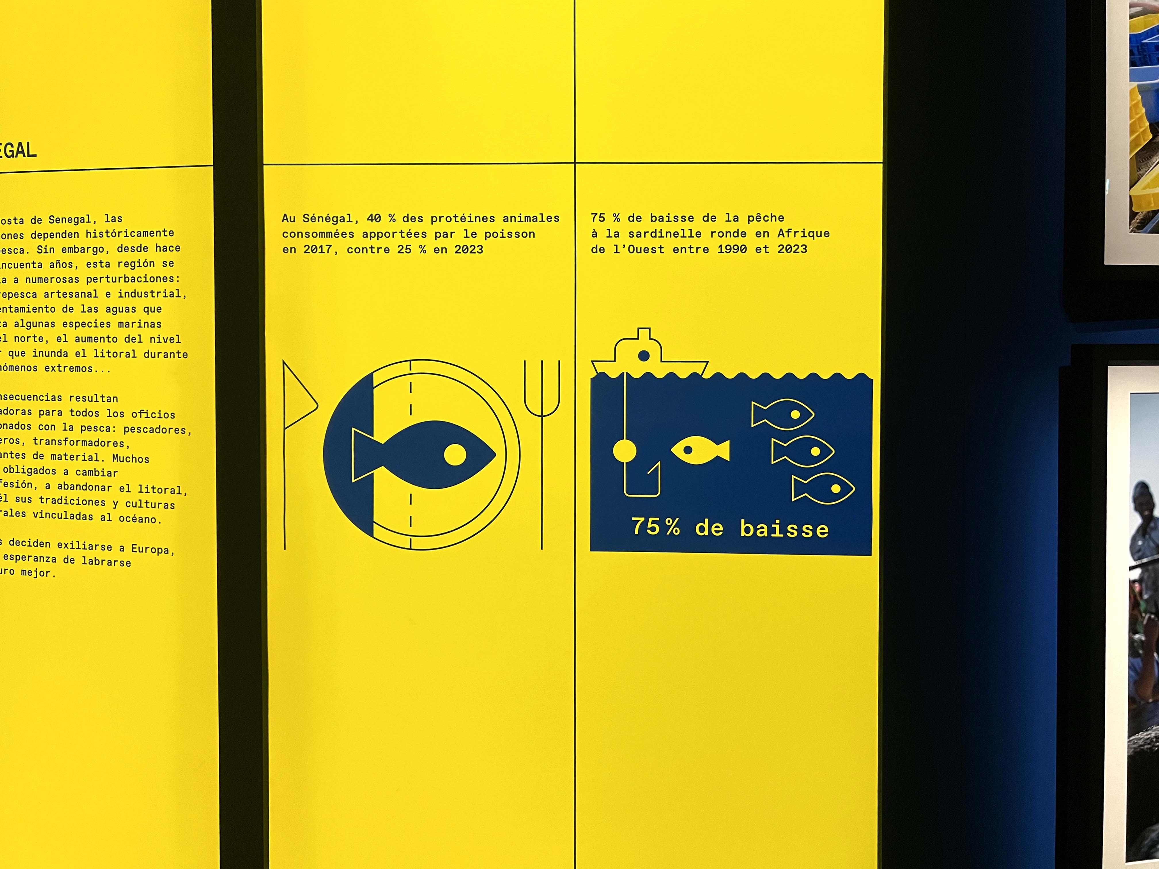 Exposition Migrations et climat, zoom datavisualisation
