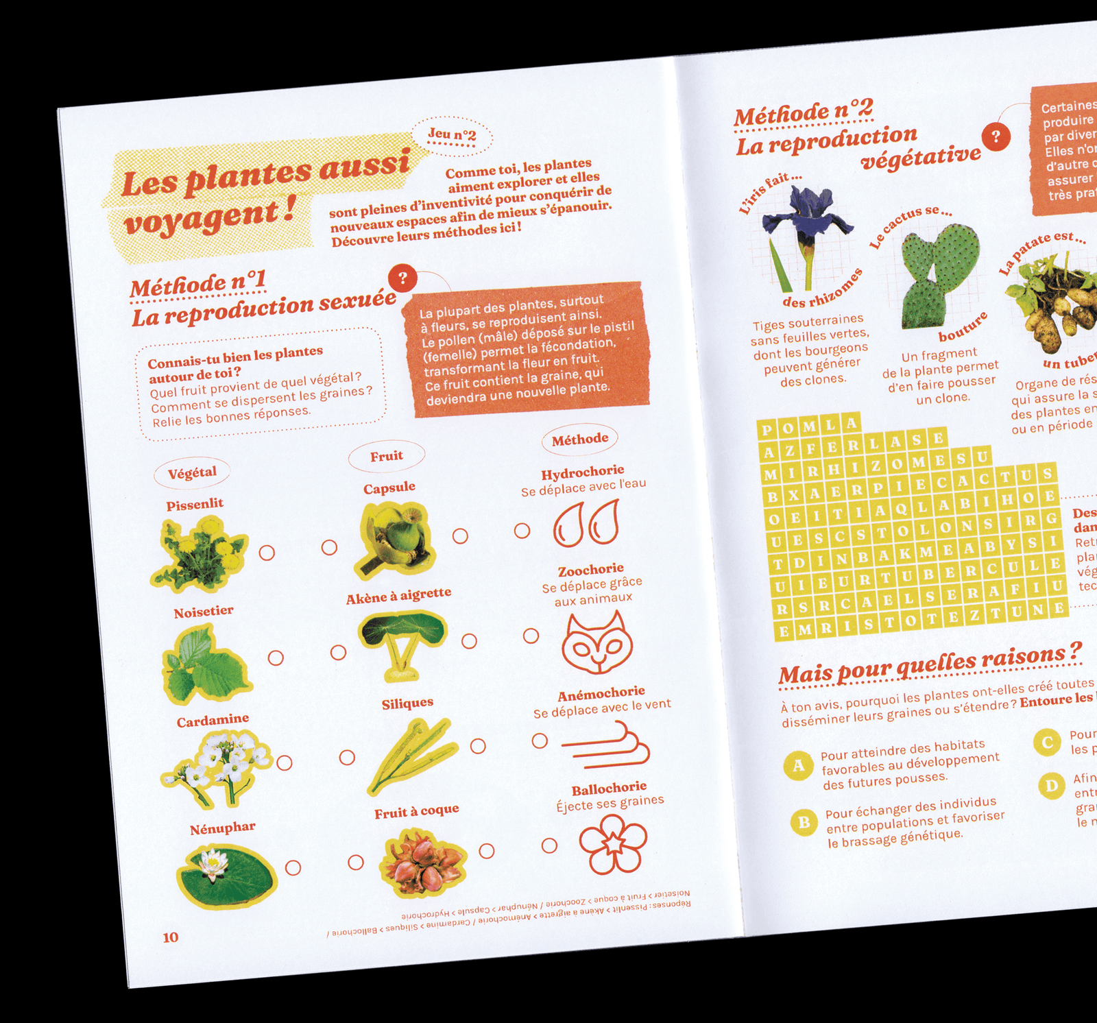 Cahier d'activité, Jeu 2