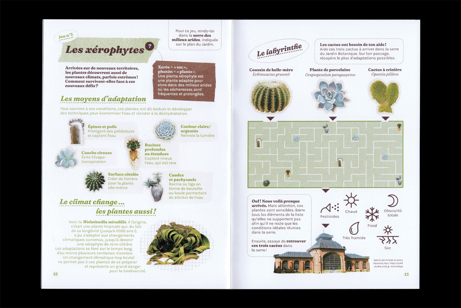 Cahier d'activité, Jeu 3