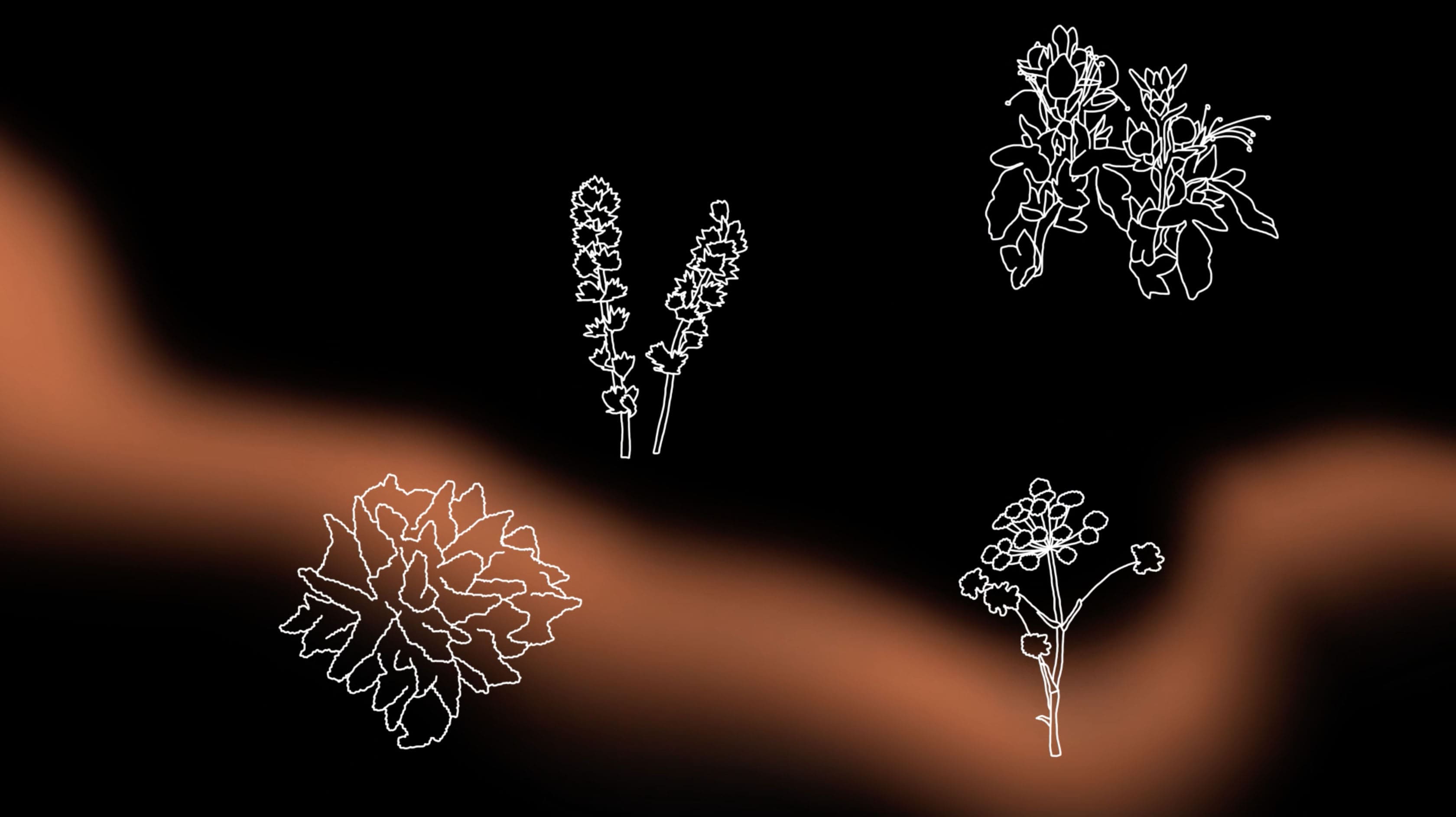 Concert Botanica!, screenshot d'animation